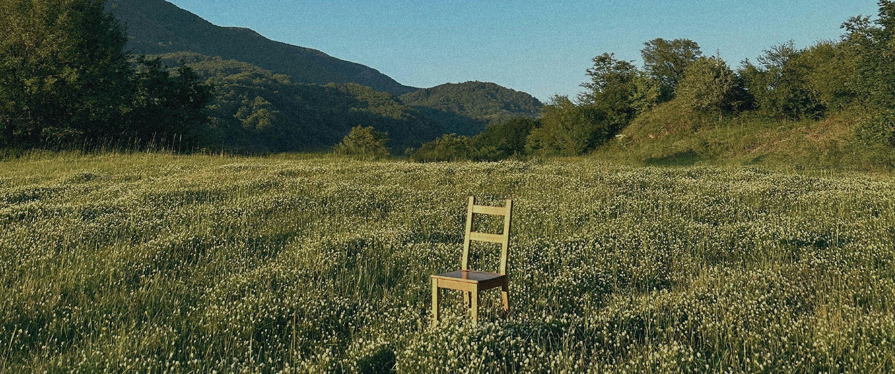 A wooden chair placed in the middle of a vibrant flower field, symbolizing a nature-first approach to reimagining business practices.