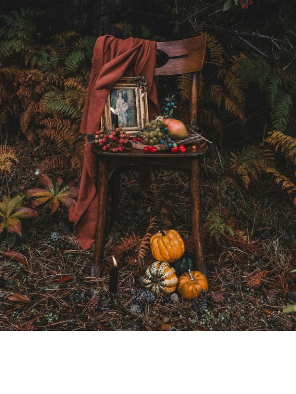 A wooden chair in the woods with fruits, a picture frame, and a blanket, evoking a fairytale-like atmosphere for building a brand’s kingdom.