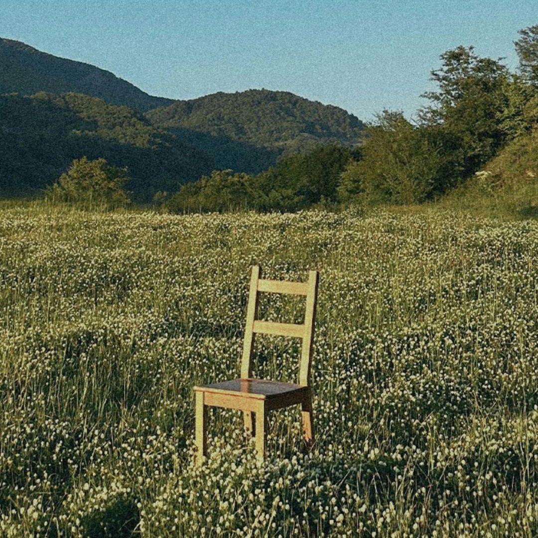 Thumbnail of a wooden chair in the middle of a vibrant flower field, symbolizing a nature-first approach to rethinking business practices.